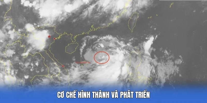 Cơ chế hình thành và phát triểnCơ chế hình thành và phát triển