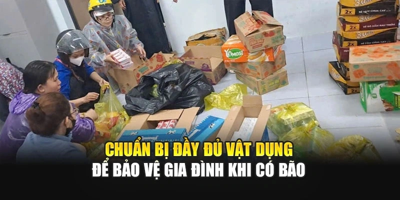 Chuẩn bị đầy đủ vật dụng để bảo vệ gia đ&igrave;nh khi c&oacute; b&atilde;o