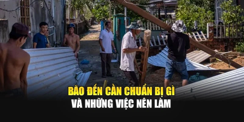 B&atilde;o đến cần chuẩn bị g&igrave; v&agrave; những việc n&ecirc;n l&agrave;m