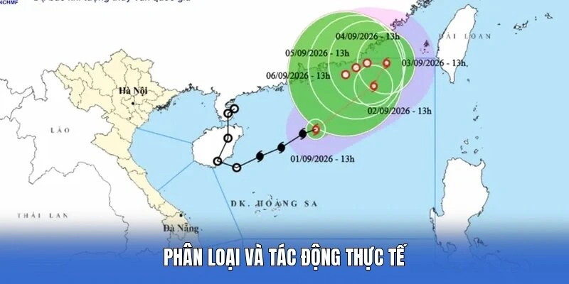 Phân loại và tác động thực tế