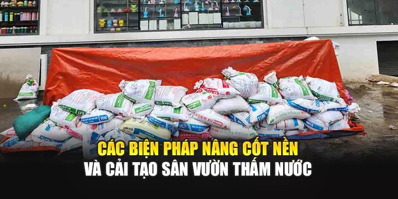C&aacute;c biện ph&aacute;p n&acirc;ng cốt nền v&agrave; cải tạo s&acirc;n vườn thấm nước