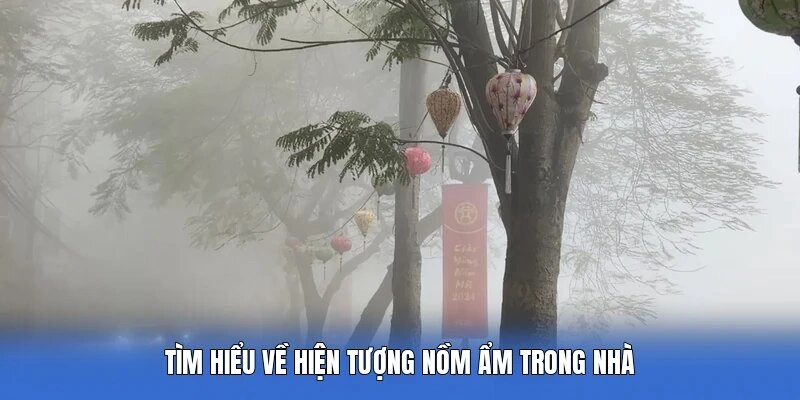 Tìm hiểu về hiện tượng nồm ẩm trong nhà