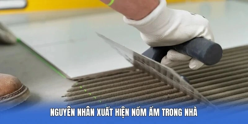 Nguyên nhân xuất hiện nồm ẩm trong nhà