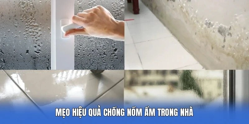 Mẹo hiệu quả chống nồm ẩm trong nhà