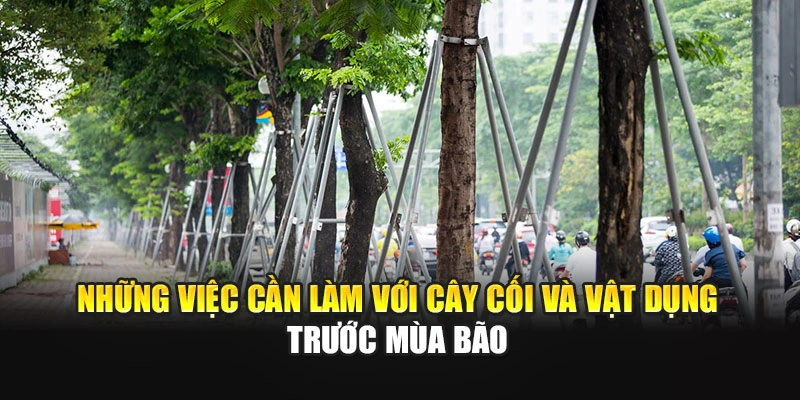 Những việc cần l&agrave;m với c&acirc;y cối v&agrave; vật dụng trước m&ugrave;a b&atilde;o