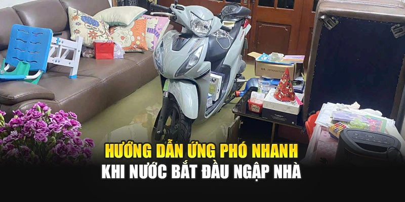 Hướng dẫn ứng ph&oacute; nhanh khi nước bắt đầu ngập nh&agrave;