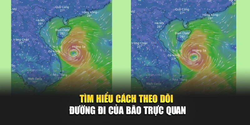 Tìm hiểu cách theo dõi đường đi của bão trực quan