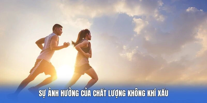 Sự ảnh hưởng của chất lượng không khí xấu
