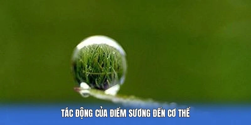 Tác động của điểm sương đến cơ thể