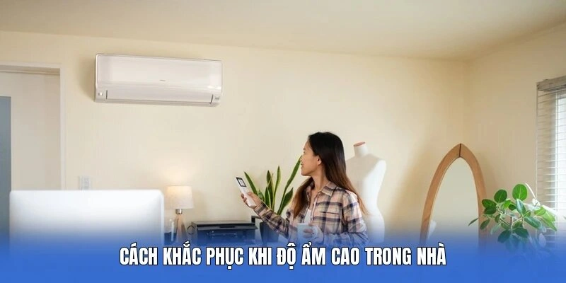 Cách khắc phục khi độ ẩm cao trong nhà
