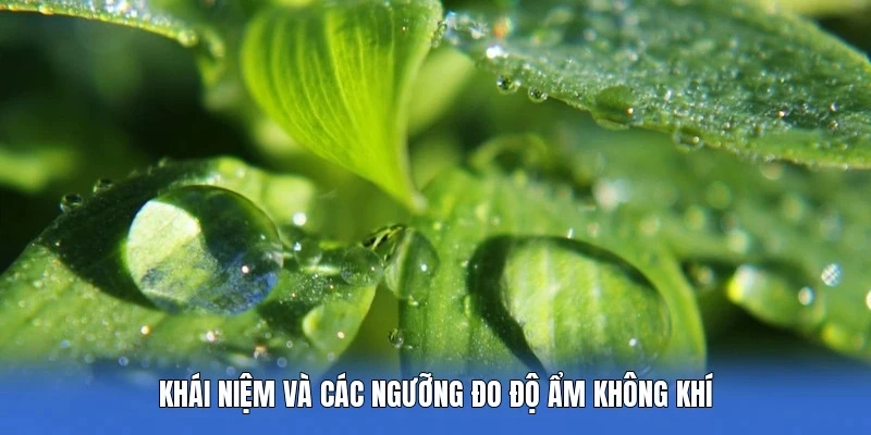 Khái niệm và các ngưỡng đo độ ẩm không khí