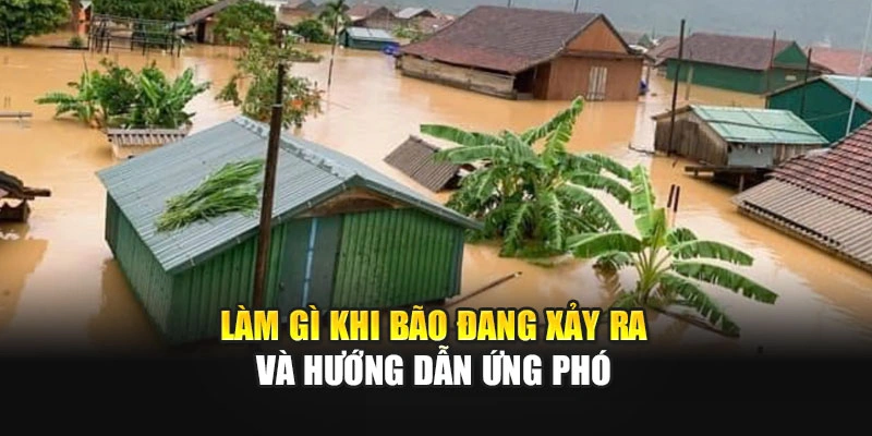 L&agrave;m g&igrave; khi b&atilde;o đang xảy ra v&agrave; hướng dẫn ứng ph&oacute;