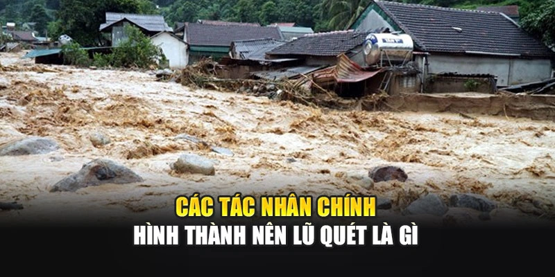 C&aacute;c t&aacute;c nh&acirc;n ch&iacute;nh h&igrave;nh th&agrave;nh n&ecirc;n lũ qu&eacute;t l&agrave; g&igrave;