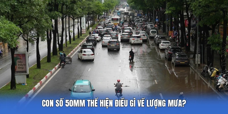 Con số 50mm thể hiện điều gì về lượng mưa?