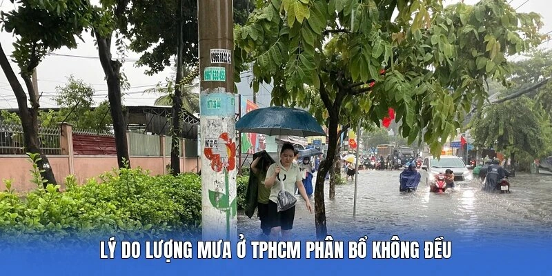 Lý do lượng mưa ở tphcm phân bổ không đều