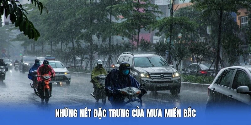Những nét đặc trưng của mưa miền Bắc