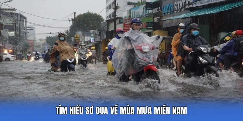 Tìm hiểu sơ qua về mùa mưa miền Nam