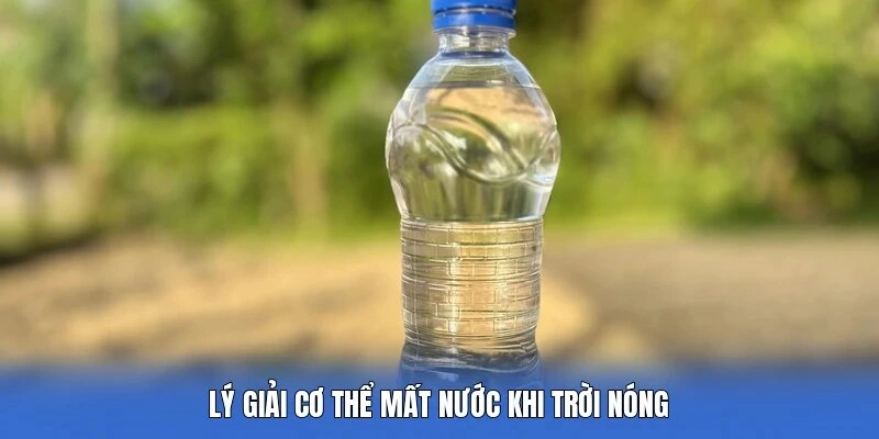 Lý giải cơ thể mất nước khi trời nóng