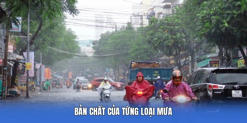 Bản chất của từng loại mưa
