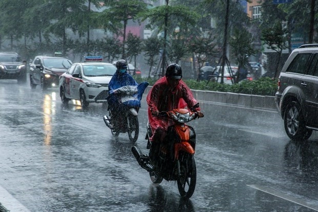 Nhiệt độ cao và thấp nhất trong ngày
