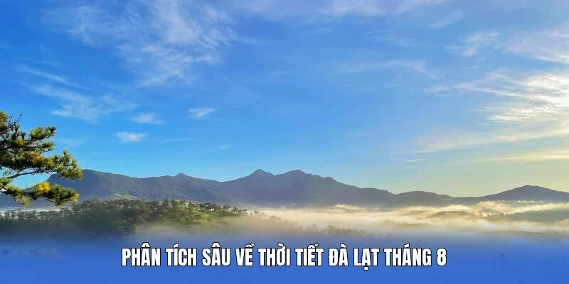 Phân tích sâu về thời tiết Đà Lạt tháng 8 