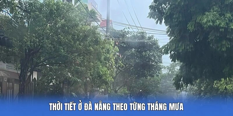 Thời tiết ở Đà Nẵng theo từng tháng mưa