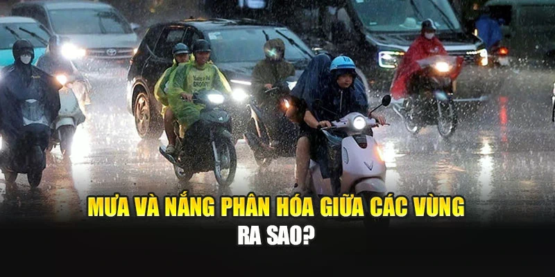 Mưa và nắng phân hóa giữa các vùng ra sao?
