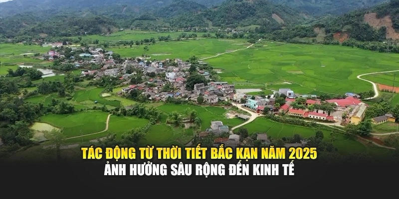 Tác động từ thời tiết Bắc Kạn năm 2025 ảnh hưởng sâu rộng đến kinh tế