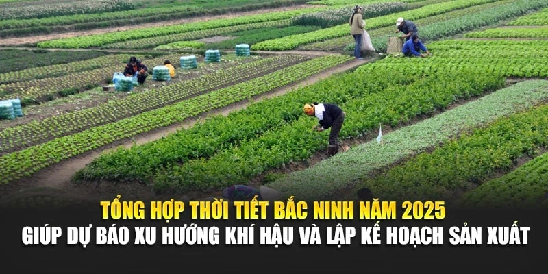 Tổng hợp thời tiết Bắc Ninh năm 2025 giúp dự báo xu hướng khí hậu và lập kế hoạch sản xuất.