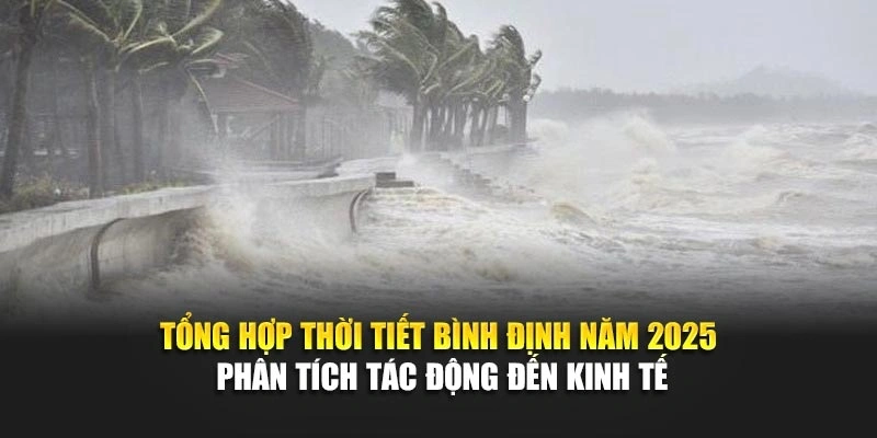 Tổng hợp thời tiết B&igrave;nh Định năm 2025 ph&acirc;n t&iacute;ch r&otilde; rệt từng m&ugrave;a