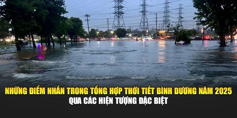 Những điểm nhấn trong tổng hợp thời tiết Bình Dương năm 2025 qua các hiện tượng đặc biệt