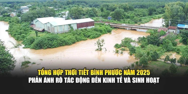 Tổng hợp thời tiết B&igrave;nh Phước năm 2025 phản &aacute;nh r&otilde; t&aacute;c động đến kinh tế v&agrave; sinh hoạt