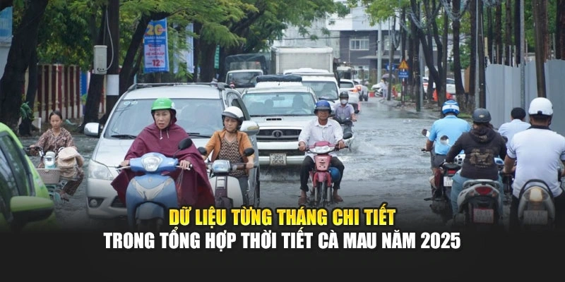Dữ liệu từng th&aacute;ng chi tiết trong tổng hợp thời tiết C&agrave; Mau năm 2025