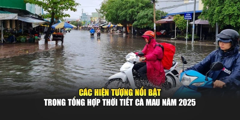 C&aacute;c hiện tượng nổi bật trong tổng hợp thời tiết C&agrave; Mau năm 2025