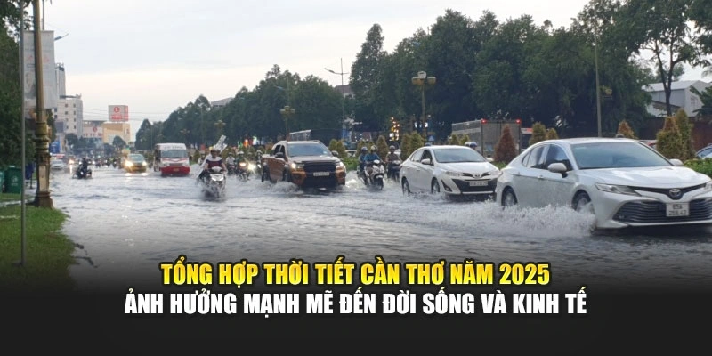 Tổng hợp thời tiết Cần Thơ năm 2025 ảnh hưởng mạnh mẽ đến đời sống v&agrave; kinh tế