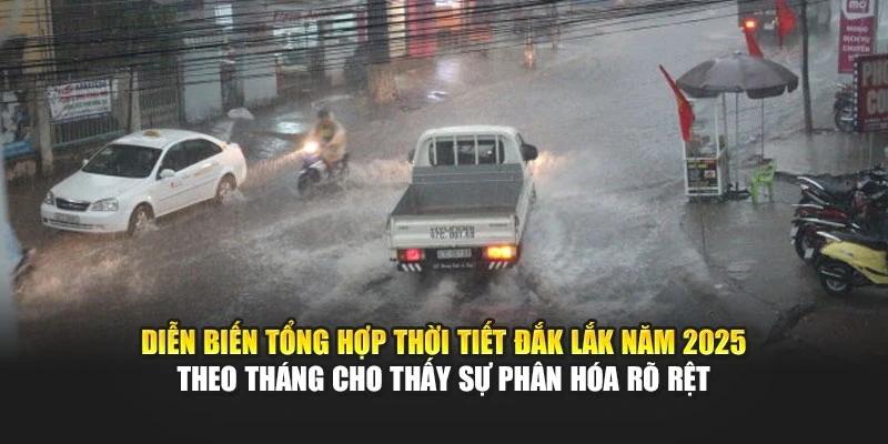 Diễn biến tổng hợp thời tiết Đắk Lắk năm 2025 theo th&aacute;ng cho thấy sự ph&acirc;n h&oacute;a r&otilde; rệt