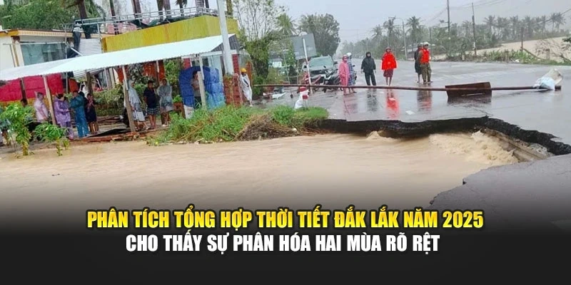 Ph&acirc;n t&iacute;ch tổng hợp thời tiết Đắk Lắk năm 2025 cho thấy sự ph&acirc;n h&oacute;a hai m&ugrave;a r&otilde; rệt
