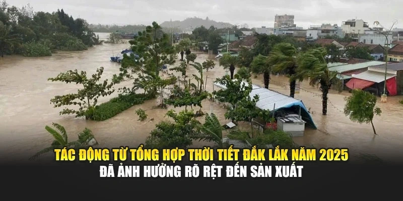 T&aacute;c động từ tổng hợp thời tiết Đắk Lắk năm 2025 đ&atilde; ảnh hưởng r&otilde; rệt đến sản xuất