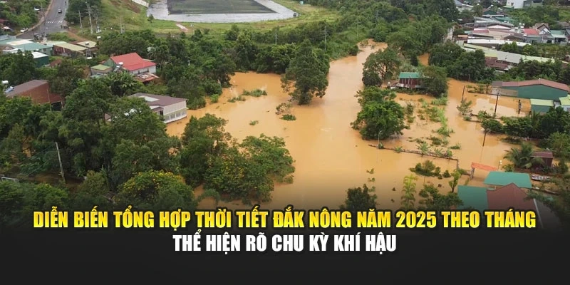 Diễn biến tổng hợp thời tiết Đắk N&ocirc;ng năm 2025 theo th&aacute;ng thể hiện r&otilde; chu kỳ kh&iacute; hậu