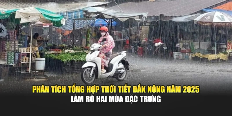 Ph&acirc;n t&iacute;ch tổng hợp thời tiết Đắk N&ocirc;ng năm 2025 l&agrave;m r&otilde; hai m&ugrave;a đặc trưng