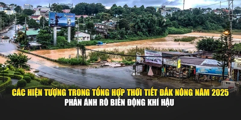 C&aacute;c hiện tượng trong tổng hợp thời tiết Đắk N&ocirc;ng năm 2025 phản &aacute;nh r&otilde; biến động kh&iacute; hậu