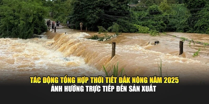 T&aacute;c động tổng hợp thời tiết Đắk N&ocirc;ng năm 2025 ảnh hưởng trực tiếp đến sản xuất