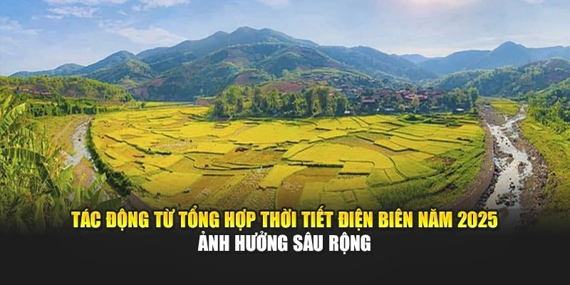 T&aacute;c động từ tổng hợp thời tiết Điện Bi&ecirc;n năm 2025 ảnh hưởng s&acirc;u rộng