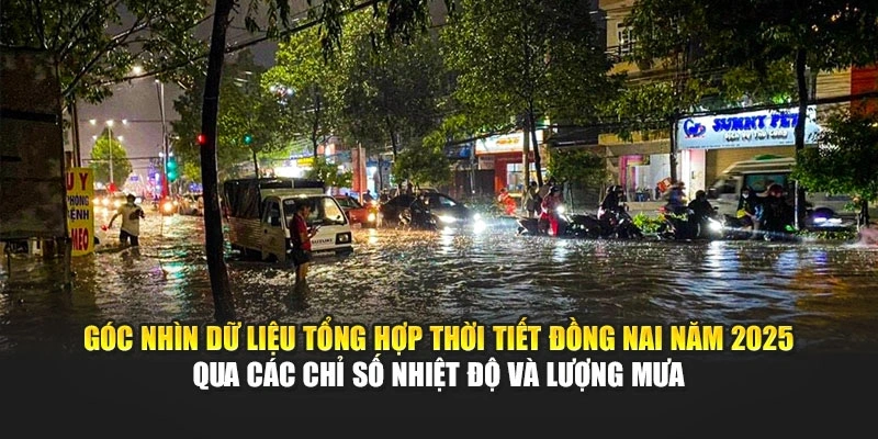 G&oacute;c nh&igrave;n dữ liệu tổng hợp thời tiết Đồng Nai năm 2025 qua c&aacute;c chỉ số nhiệt độ v&agrave; lượng mưa