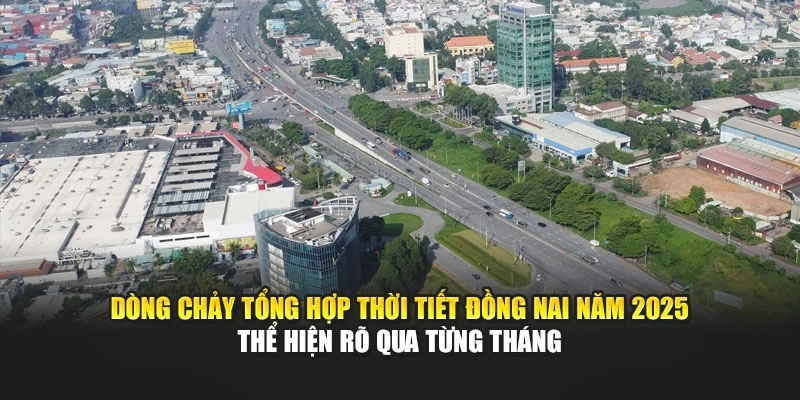 D&ograve;ng chảy tổng hợp thời tiết Đồng Nai năm 2025 thể hiện r&otilde; qua từng th&aacute;ng