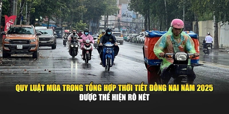 Quy luật m&ugrave;a trong tổng hợp thời tiết Đồng Nai năm 2025 được thể hiện r&otilde; n&eacute;t