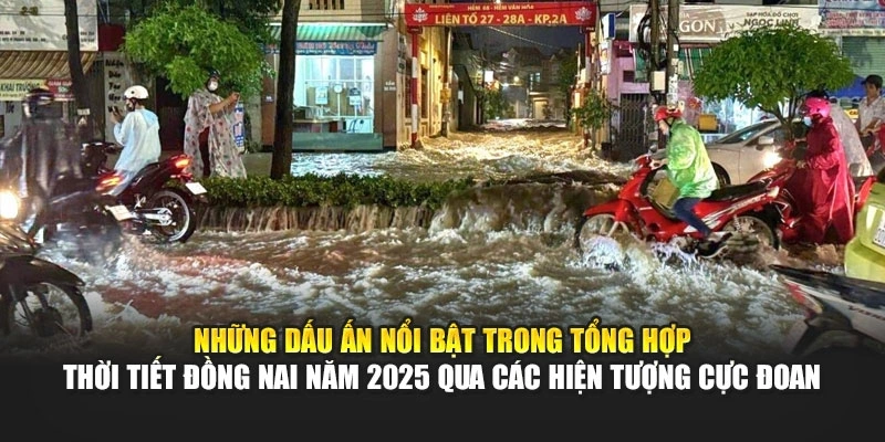 Những dấu ấn nổi bật trong tổng hợp thời tiết Đồng Nai năm 2025 qua c&aacute;c hiện tượng cực đoan