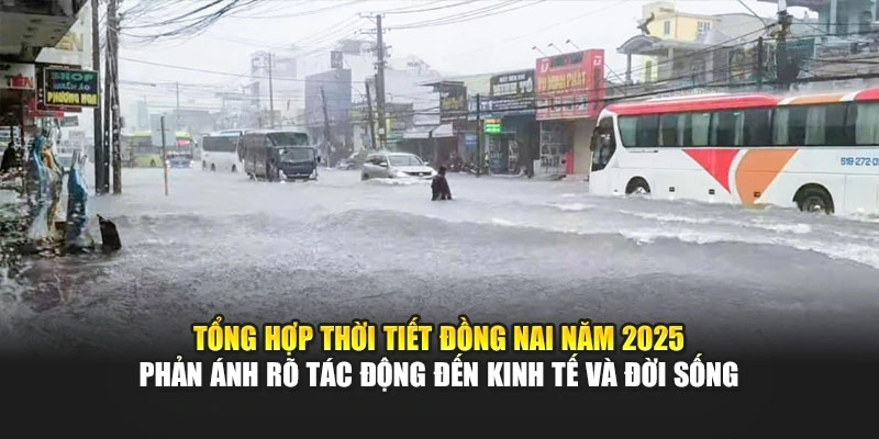 Tổng hợp thời tiết Đồng Nai năm 2025 phản &aacute;nh r&otilde; t&aacute;c động đến kinh tế v&agrave; đời sống
