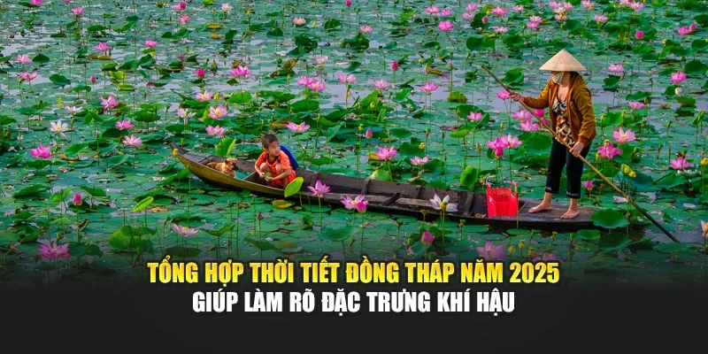 Tổng hợp thời tiết Đồng Tháp năm 2025 giúp làm rõ đặc trưng khí hậu