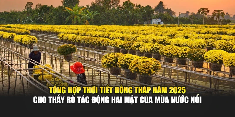 Tổng hợp thời tiết Đồng Tháp năm 2025 cho thấy rõ tác động hai mặt của mùa nước nổi